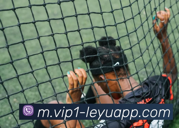 App Interface Preview